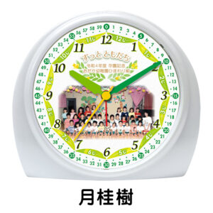 SE-C28S-C-gekkeijyu