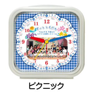 SE-C32S-C-picnic