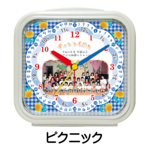 SE-C32S-C-picnic