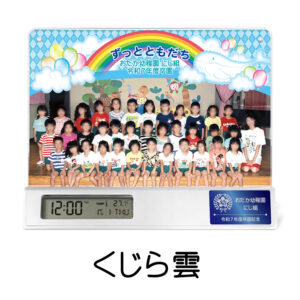 SE-C40S-kujiragumo
