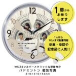 SD-WK28K-badminton-shuttle