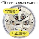 SD-WK28K-badminton-shuttle