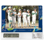 SD-C40S-sun_catch