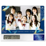 SD-C40S-sun_catch