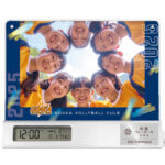 SD-C40S-sun_catch
