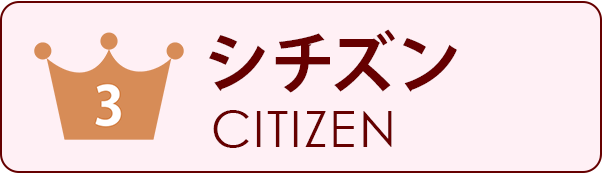 分解掃除、オーバーホール、CITIZEN