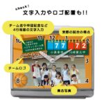 SD-C33SB-basketball