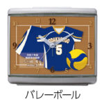 SD-C33UM